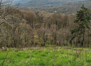 serbia/fruska-gora-national-park/attraction/zmajevac