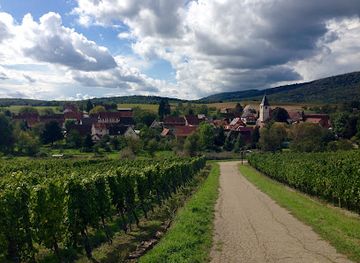 france/alsace-wine-route/attraction/cave-vinicole-de-cleebourg