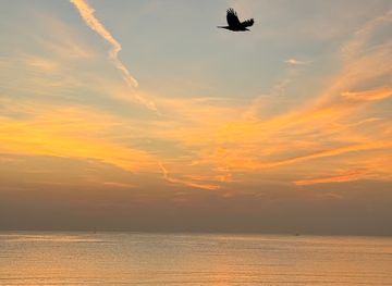 united-arab-emirates/fujairah/attraction/shaat-alrgheelaat