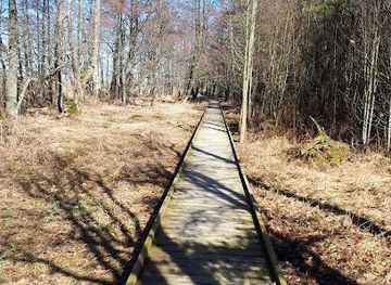 estonia/parnu/attraction/kabli-nature-studies-trail