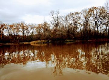 alabama/tombigbee-river/attraction/choctaw-nwr-special-opportunity-area