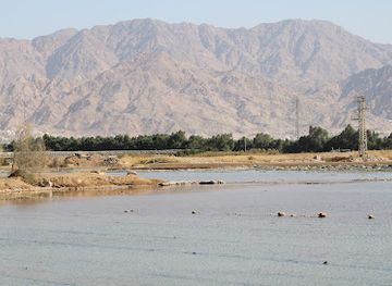 israel/eilat/attraction/international-birding-and-research-center-eilat