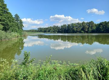 hungary/somogy/attraction/petesmalmi-otter-park