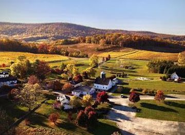 maryland/hagerstown/attraction/868-estate-vineyards