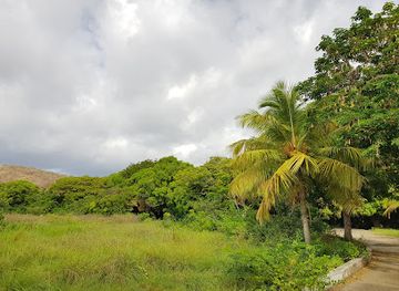 curacao/boca-pistol/attraction/palm-garden