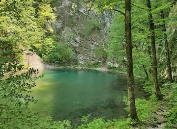 slovenia/ljubljana/attraction/wild-lake