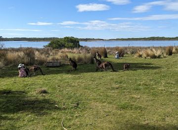 australia/tasmanian-wilderness/attraction/east-coast-natureworld