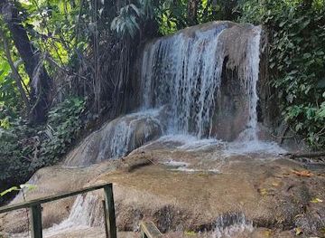 jamaica/runaway-bay/attraction/shaw-park-botanical-gardens