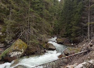 bulgaria/dobrinishte/attraction/demyanishka-river-eco-trail