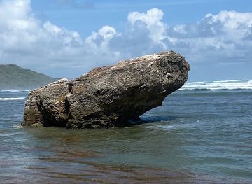barbados/saint-john/attraction/frog-rock