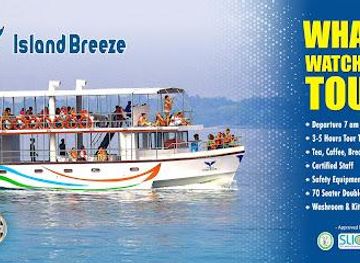 sri-lanka/unawatuna/attraction/whale-watching-mirissa