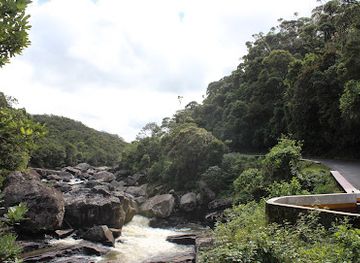 madagascar/ranomafana-national-park/attraction/ranomafana-np-reception-and-shop