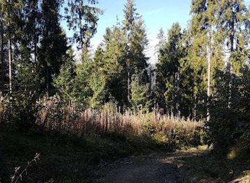 ukraine/trostyan/attraction/tracts-ternivka