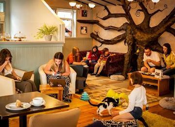 united-kingdom/norwich/attraction/the-cat-house-norwich