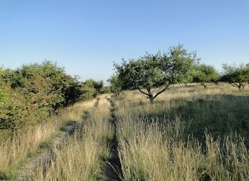 czechia/south-moravia/attraction/skalky-u-sedlece