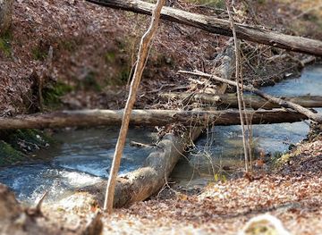 alabama/oak-mountain-state-park/attraction/maggie-s-glen