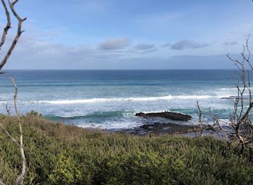 australia/mornington-peninsula/attraction/fingal-picnic-area