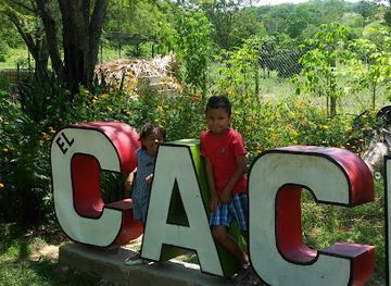 colombia/cesar-department/attraction/casa-museo-diomedes-diaz