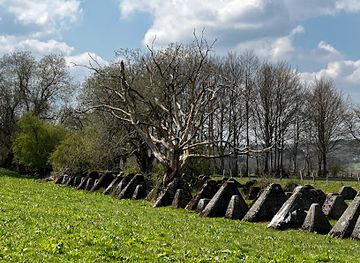 germany/monschau/attraction/teufelsstein-im-kranzbrucher-venn