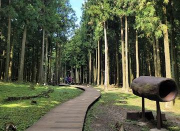 south-korea/jeju-city/attraction/jeolmul-natural-recreation-forest