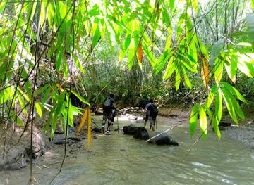 bangladesh/tanguar-haor/attraction/hum-hum-waterfall