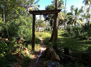 dominican-republic/samana/attraction/playa-lanza-del-norte