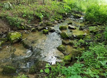 virginia/mount-rogers-national-recreation-area/attraction/comers-creek-falls-trailhead