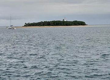 australia/port-douglas/attraction/wavedancer-low-isles-cruise