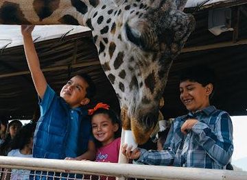 mexico/mexico-city/attraction/reino-animal-centro-de-conservacion-teotihuacan