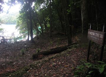 palau/peleliu-island/attraction/jellyfish-lake-entry-point