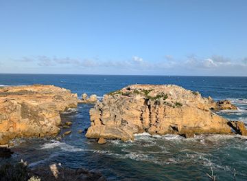 australia/limestone-coast/attraction/port-mcdonnell-south-australia