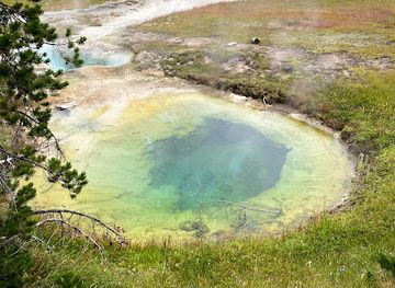 wyoming/yellowstone-national-park/attraction/lakeshore-geyser