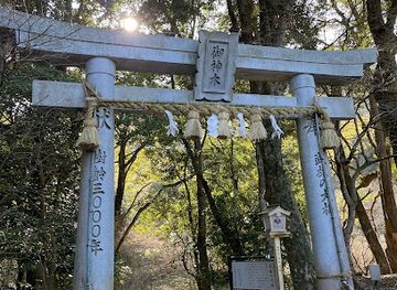 japan/bungo/attraction/the-great-camphor-tree-of-takeo-takeo-no-okusu