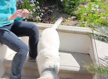 colorado/tenmile-range/attraction/elk-dance-loop-trail