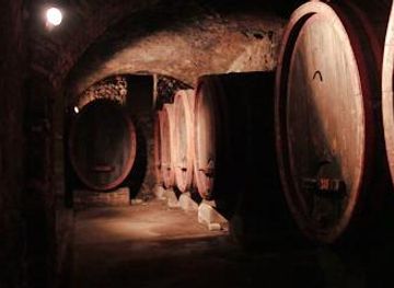 italy/orvieto/attraction/muvis-wine-museum-and-sciences-food-and-agriculture