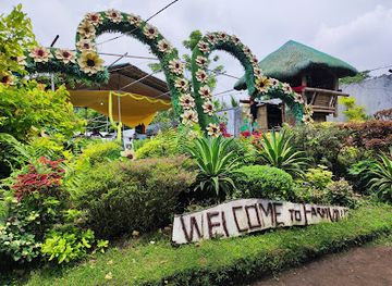 philippines/tagaytay/attraction/sunflower-farmville