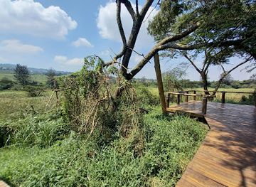 rwanda/muhazi-lake/attraction/umusambi-village