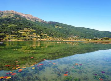 montenegro/lakes-of-plav/attraction/cesta-k-jezeru