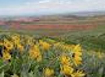 wyoming/riverton/attraction/wind-river-visitors-council