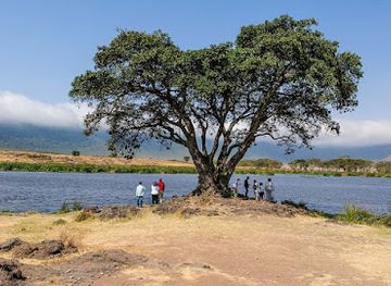 tanzania/lake-zone/attraction/ngorongoro-crater