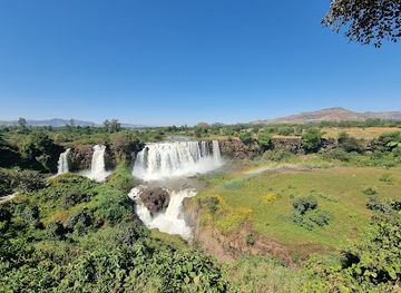 ethiopia/lake-tana/attraction/tis-abaye-fetfet