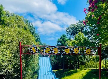 virginia/northern-neck/attraction/water-country-usa