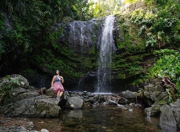 puerto-rico/west-region/attraction/cascada-las-delicias