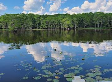 louisiana/shreveport/attraction/caddo-lake-national-wildlife-refuge