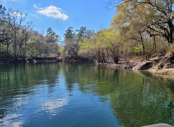 florida/santa-fe-river/attraction/troy-springs-state-park