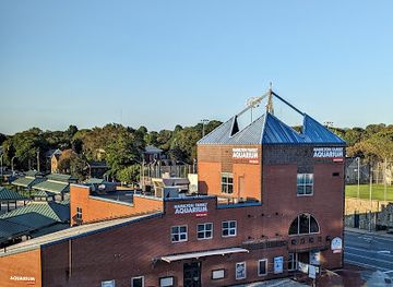 rhode-island/newport-cliff-walk/attraction/save-the-bay-hamilton-family-aquarium