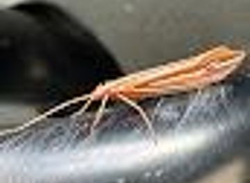 washington/tacoma/attraction/nw-trek-maintenance-shop