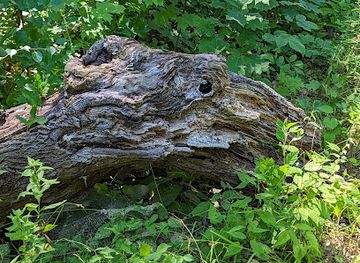 massachusetts/worcester/attraction/hadwen-arboretum-at-clark-university