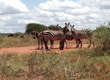kenya/tsavo-national-park/attraction/tsavo-east-national-park