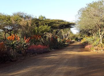 eswatini/lavumisa-border-post/attraction/zimanga-private-game-reserve